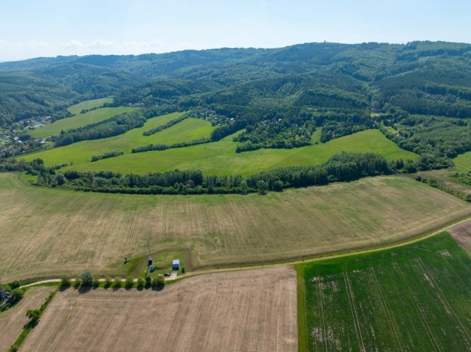 Prodej, Louka, Roštín