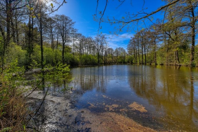 Prodej, Pozemek k bydlení, Vidice