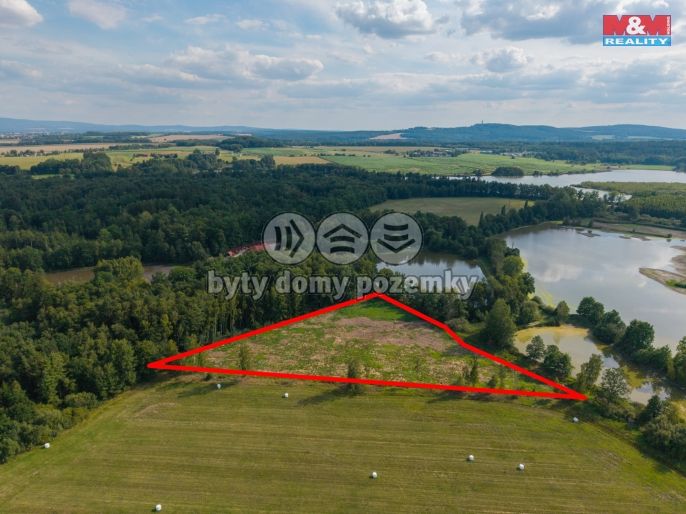 Prodej, Louka, Františkovy Lázně