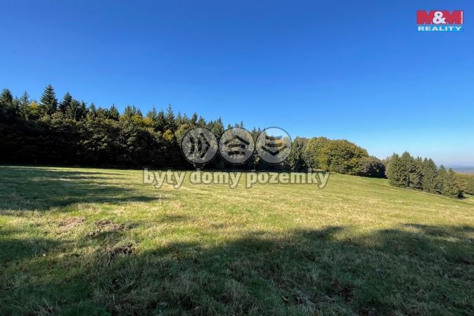 Prodej, Louka, Jiřetín pod Jedlovou