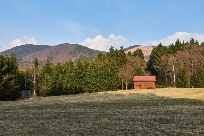 Prodej, Ostatní, Královec