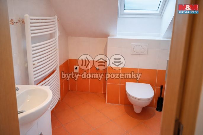 Pronájem, Byt 1+kk, Kladruby nad Labem