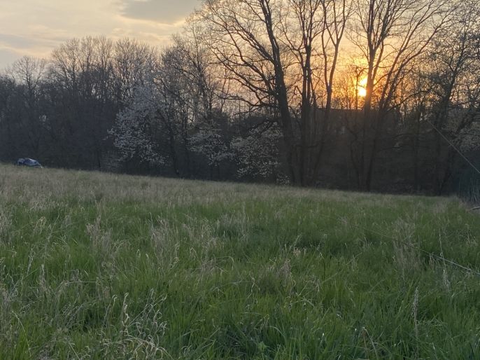 Prodej, Pozemek k bydlení, Dobruška