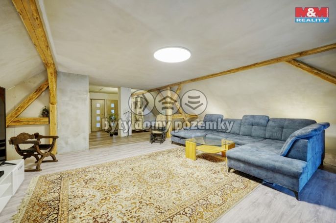 Prodej, Rodinný dům, Bor