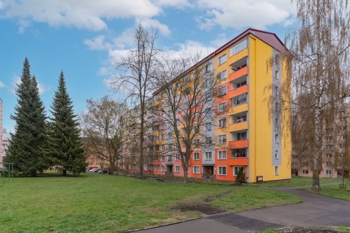 Prodej, Byt 1+1, Cheb