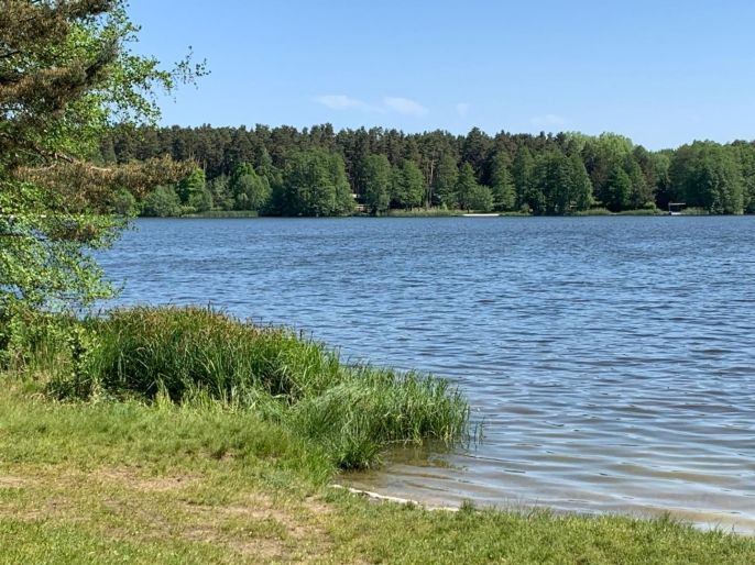 Prodej, Chata, Hamr na Jezeře