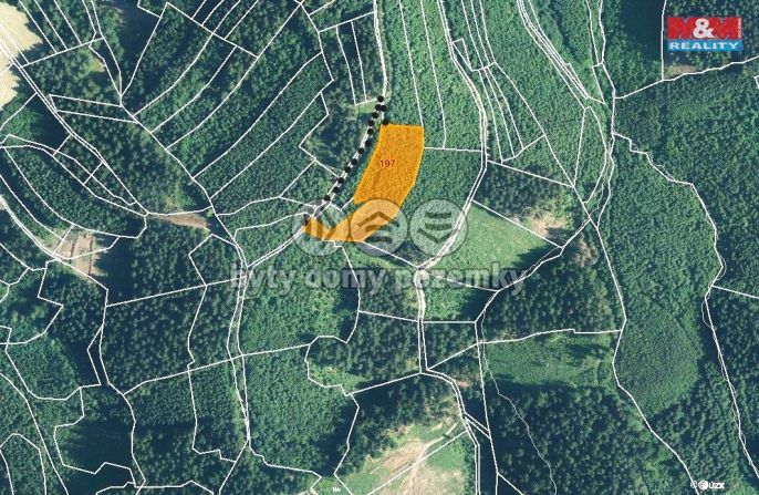 Prodej, Les, Lhota u Vsetína