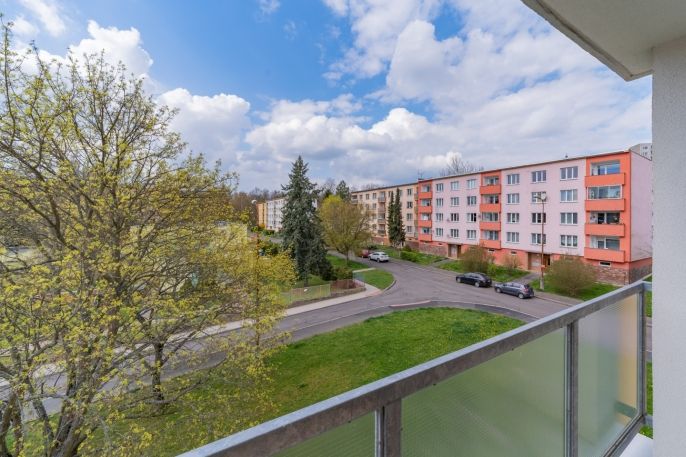 Prodej, Byt 2+1, Cheb