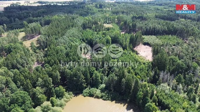 Prodej, Les, Opařany