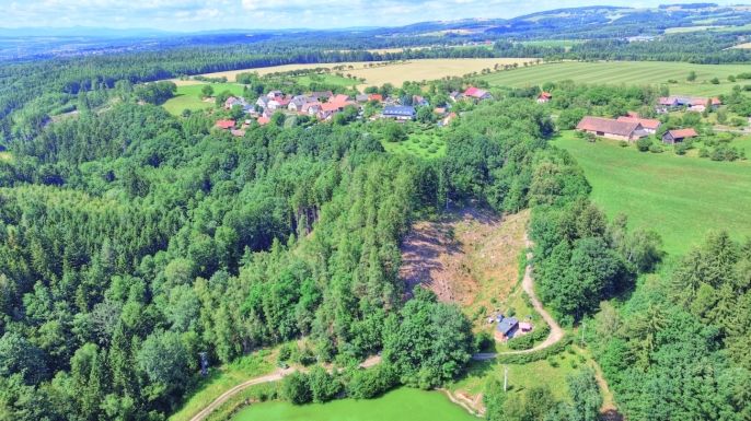 Prodej, Les, Ohnišov