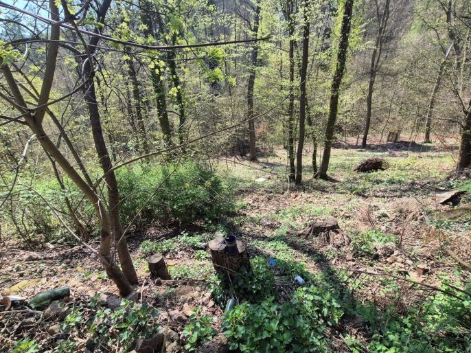 Prodej, Chata, Svatý Jan pod Skalou