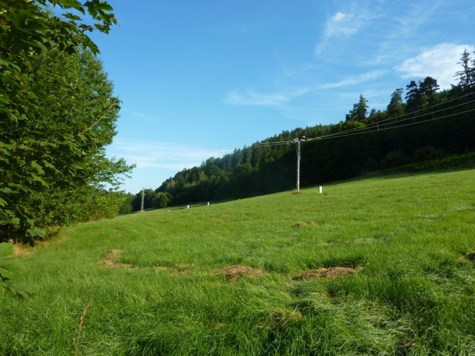 Prodej, Pozemek k bydlení, Trutnov