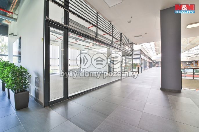 Pronájem, Obchod a služby, Plzeň