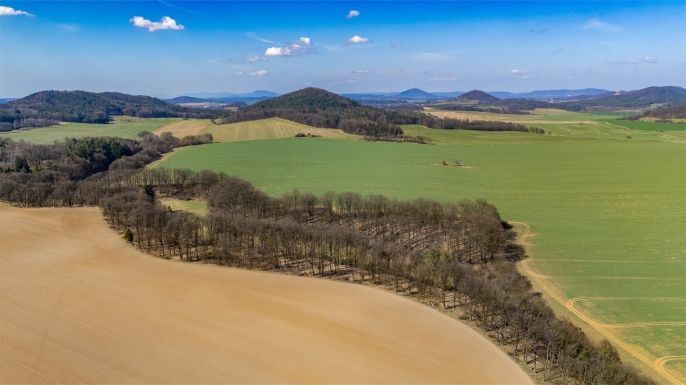 Prodej, Louka, Tachov