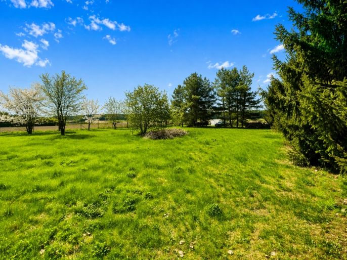 Prodej, Zahrada, Bělušice