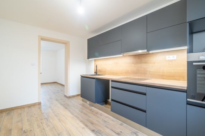 Prodej, Byt 2+1, Ostrava