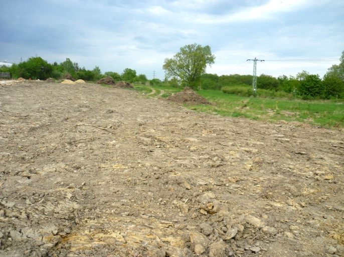 Prodej, Pozemek k bydlení, Černovice