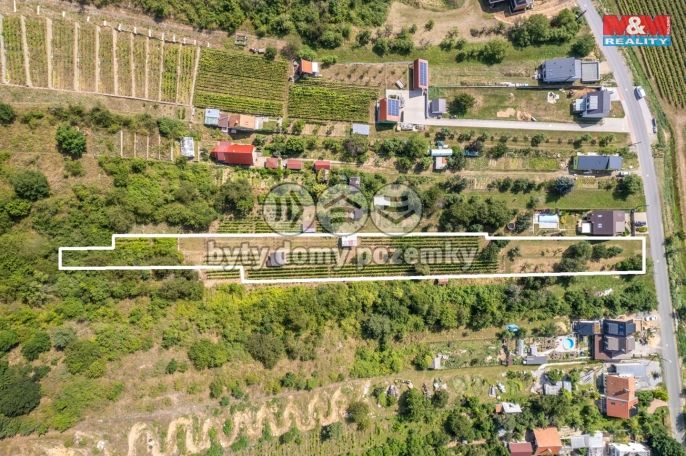 Prodej, Pozemek k bydlení, Viničné Šumice