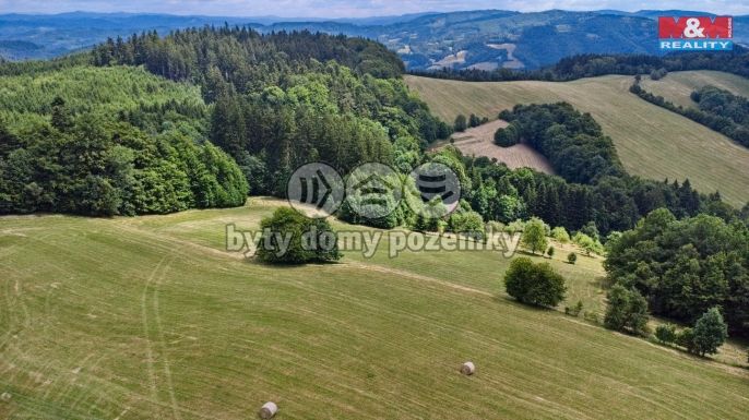 Prodej, Louka, Prlov