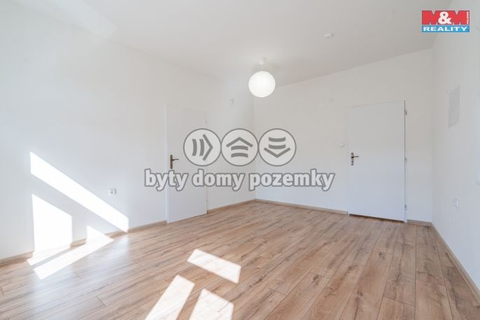 Pronájem, Obchod a služby, Počátky