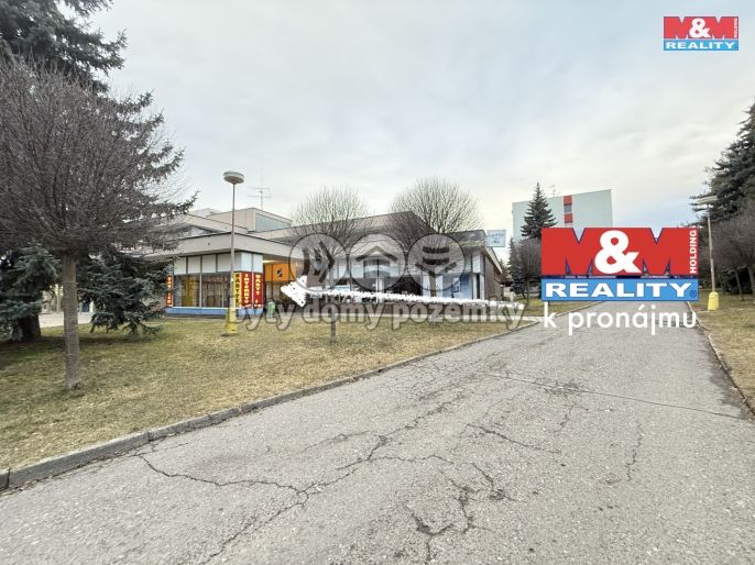 Pronájem, Obchod a služby, Rychnov nad Kněžnou