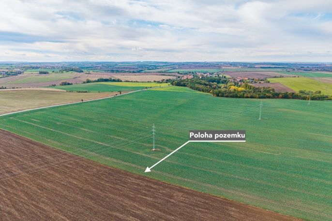 Prodej, Pole, Číčovice