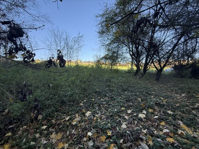 Prodej, Les, Velká Polom