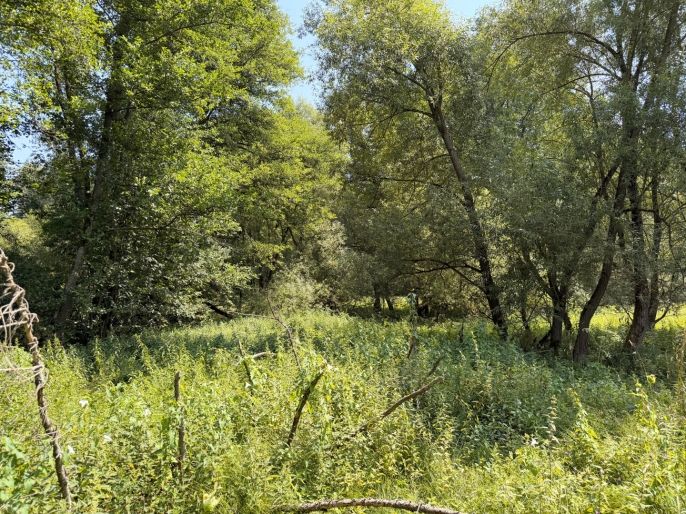 Prodej, Vodní plocha, Dolní Hořice