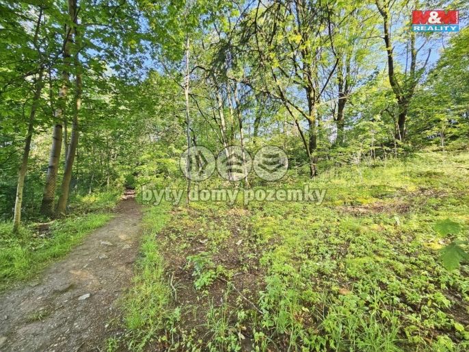 Prodej, Pozemek k bydlení, Aš