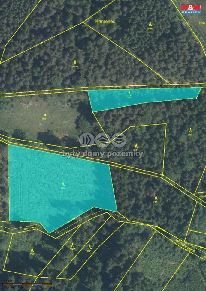 Prodej, Les, Železný Brod