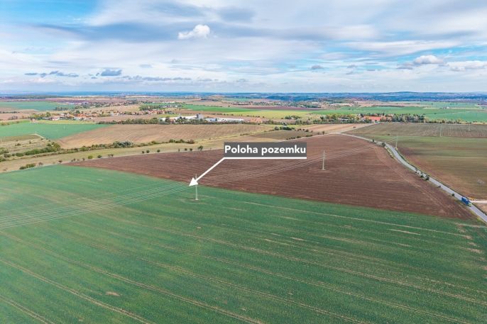 Prodej, Pole, Číčovice