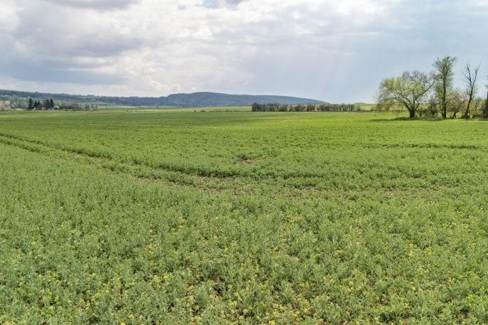 Prodej, Pozemek k bydlení, Žihle