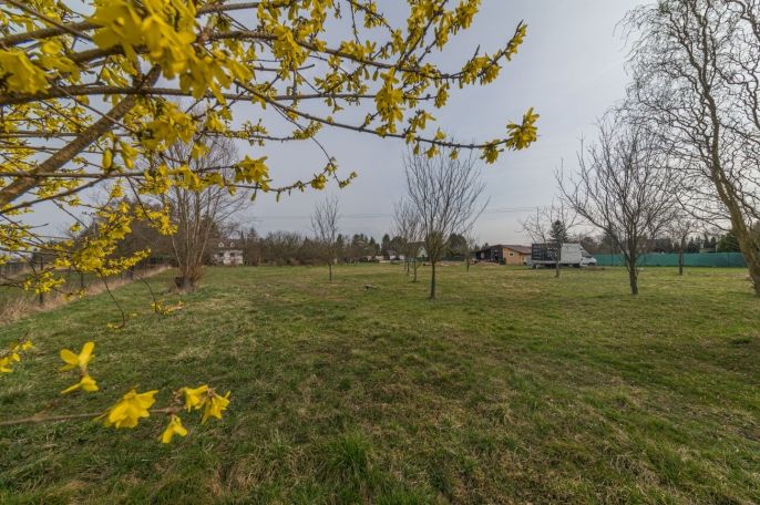 Prodej, Pozemek k bydlení, Bohumín