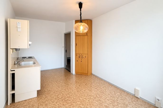 Prodej, Byt 3+1, Praha