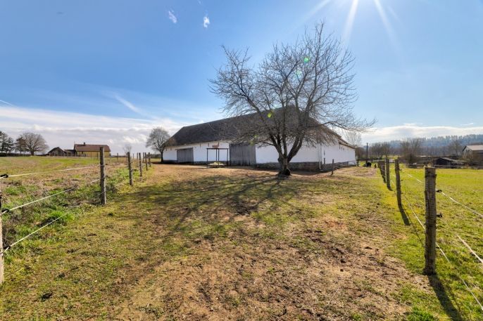 Prodej, Zemědělská usedlost, Dražíč