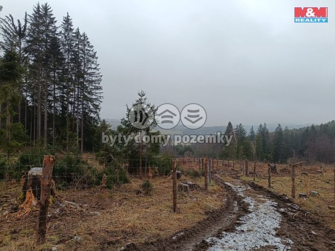 Prodej, Les, Vacovice