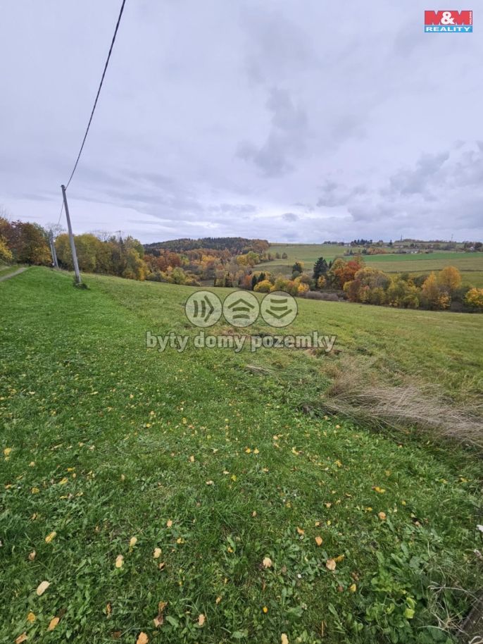 Prodej, Louka, Hynčina