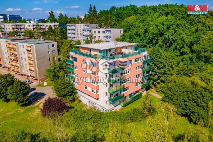 Pronájem, Byt 4+kk, Plzeň