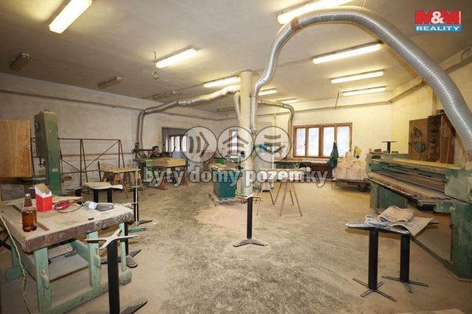 Pronájem, Výrobní objekt, Plesná