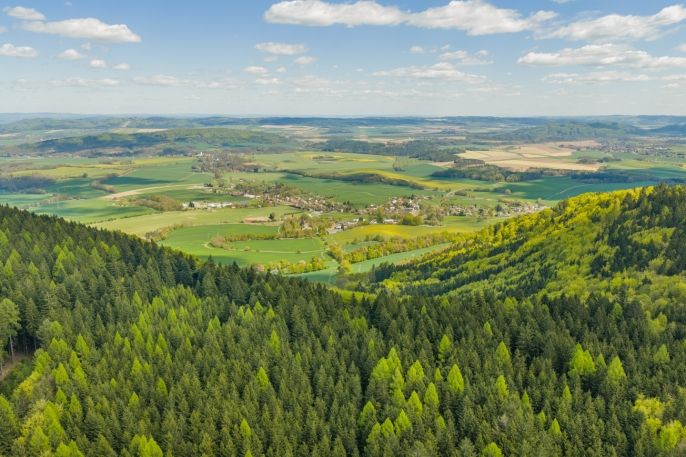 Prodej, Rodinný dům, Anenská Studánka