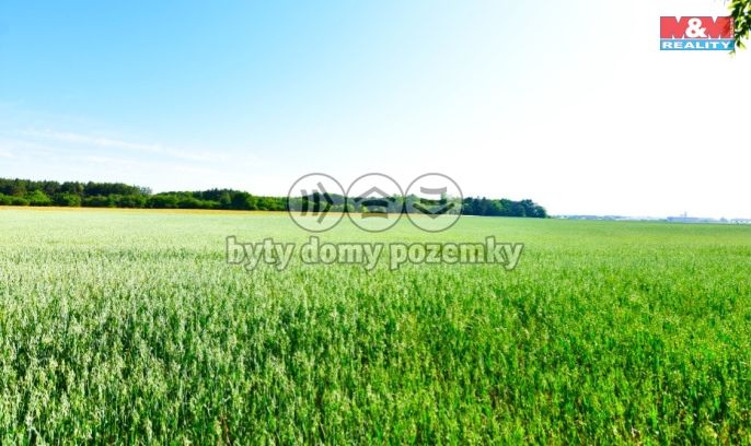 Prodej, Pole, Kostelec nad Labem