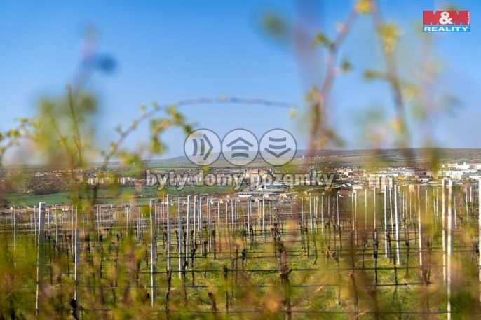 Prodej, Zahrada, Dobšice