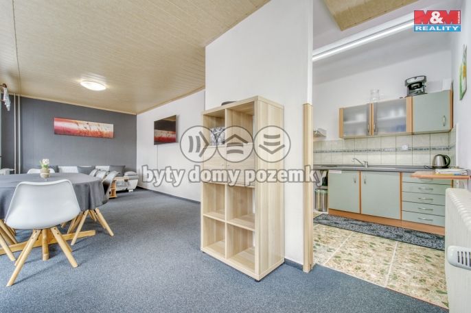 Prodej, Hotel, penzion, Železná Ruda