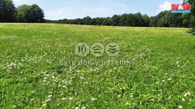 Prodej, Louka, Štramberk