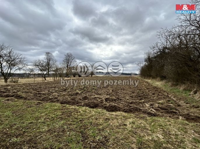 Prodej, Zahrada, Cizkrajov