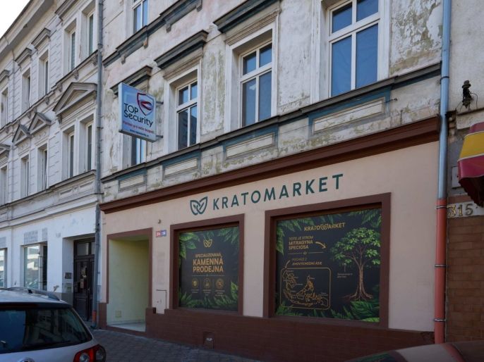 Pronájem, Obchod a služby, Teplice