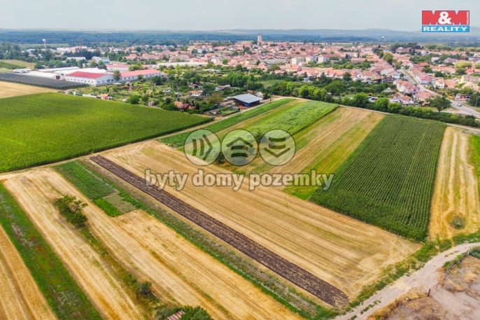 Prodej, Pole, Podivín
