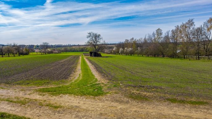 Prodej, Ovocný sad, Třebenice
