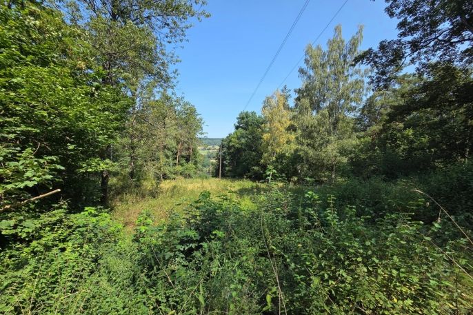 Prodej, Ostatní, Šemnice