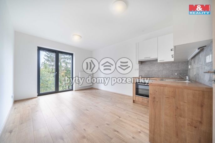 Pronájem, Byt 1+kk, Třemošná